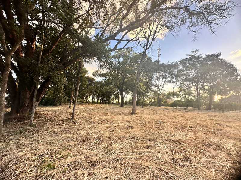 Terreno à venda, 5000 - Foto 2