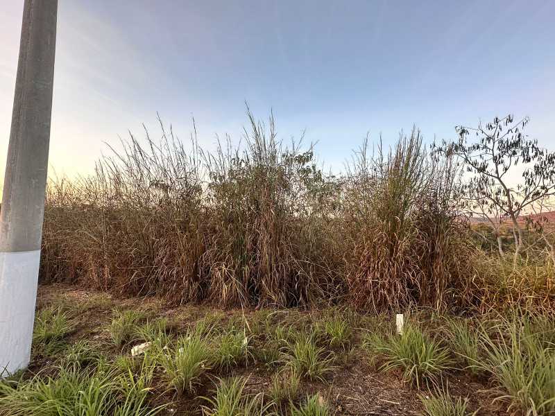 Terreno à venda, 360 - Foto 7