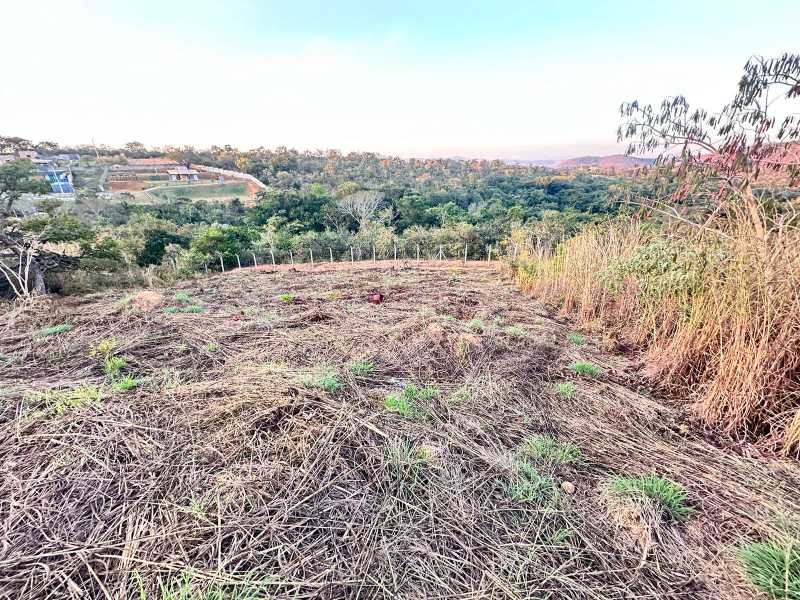 Terreno à venda, 360 - Foto 3