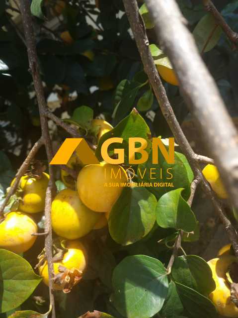 Casa, 510 m² - Foto 12