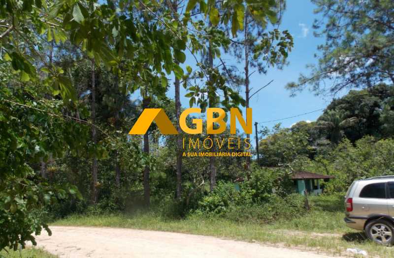 Sítio, 17 hectares - Foto 5