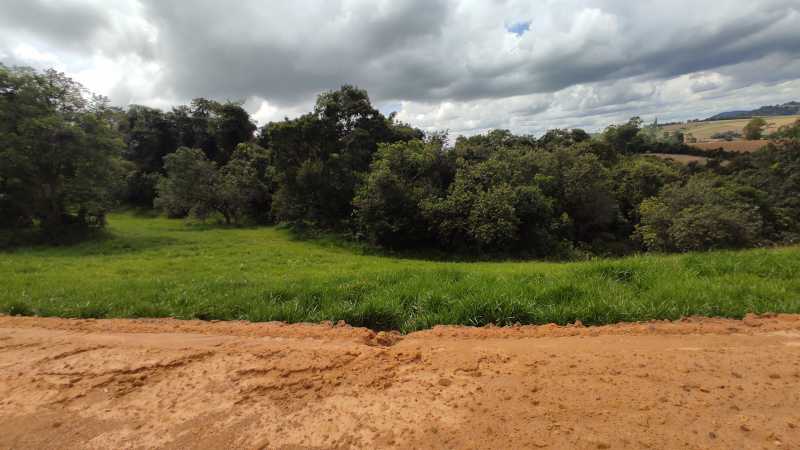 Terreno à venda, 1000 - Foto 5