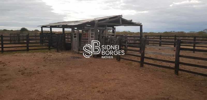 Fazenda à venda com 3 quartos, 150 - Foto 12