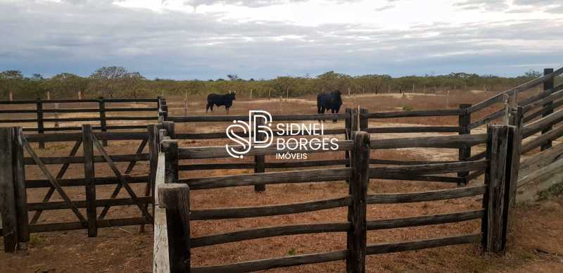 Fazenda à venda com 3 quartos, 150 - Foto 10