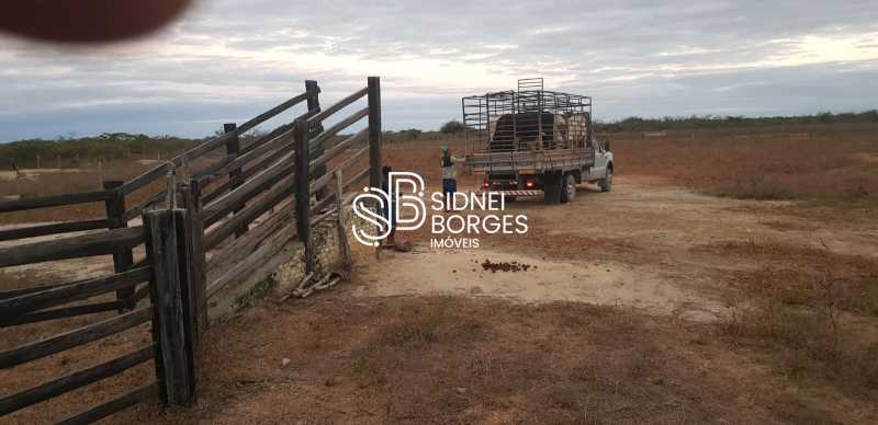 Fazenda à venda com 3 quartos, 150 - Foto 11