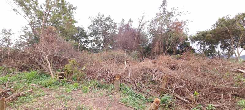 Terreno para alugar, 2400 - Foto 2