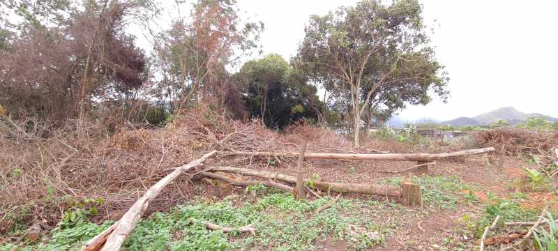 Terreno para alugar, 2400 - Foto 3