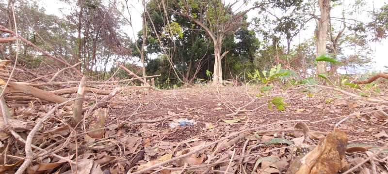 Terreno para alugar, 2400 - Foto 5