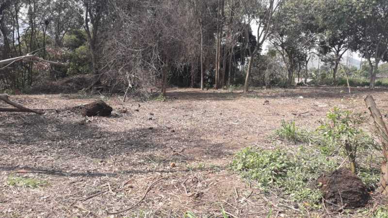 Terreno para alugar, 2400 - Foto 4