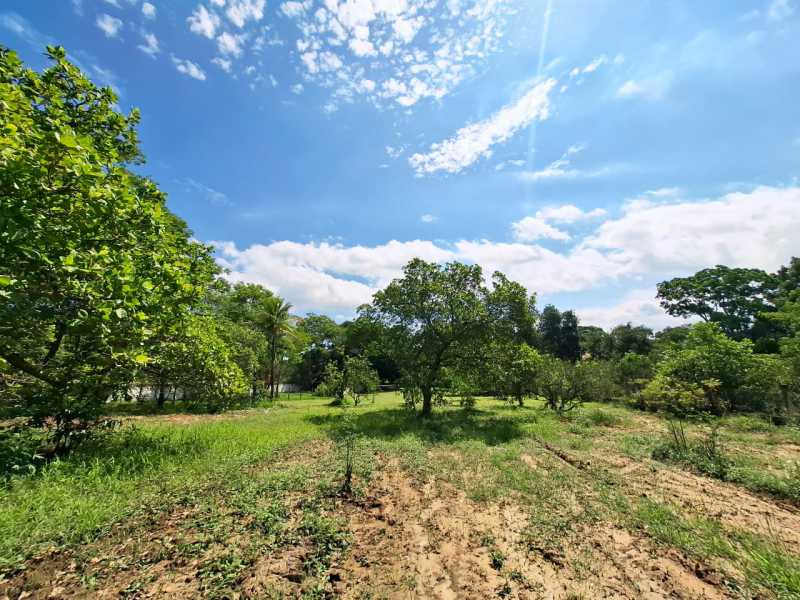 Sítio, 8 quartos, 1 hectares - Foto 22