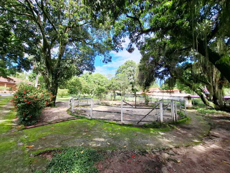 Sítio, 8 quartos, 1 hectares - Foto 26