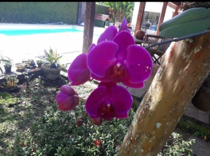 Casa, 5 quartos, 413 m² - Foto 13
