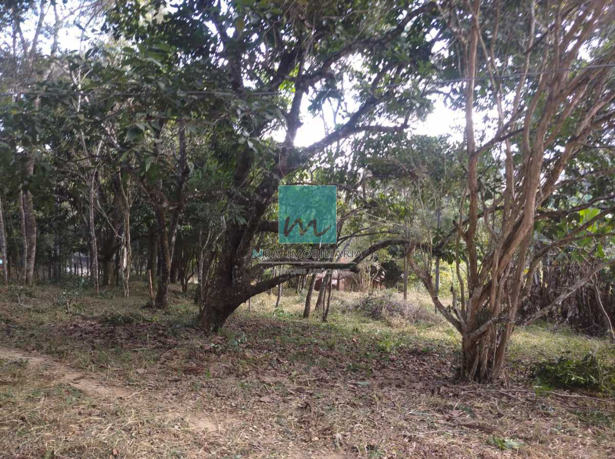 Terreno à venda, 2800 - Foto 3