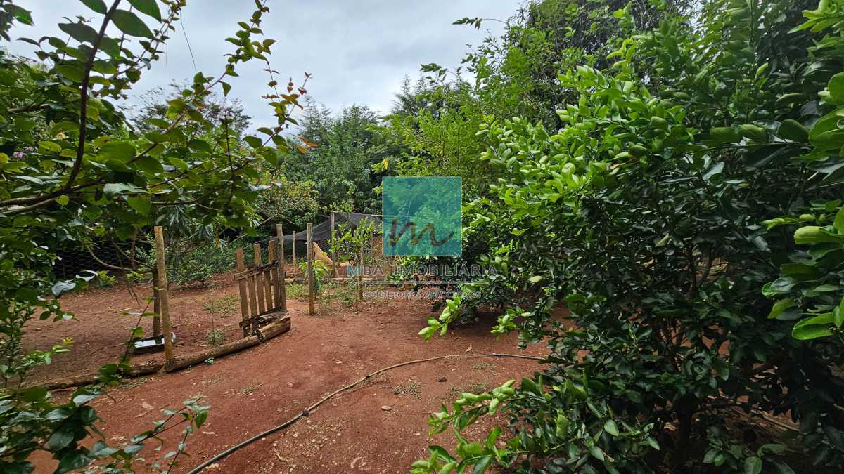 Chácara à venda com 4 quartos, 5000m² - Foto 24