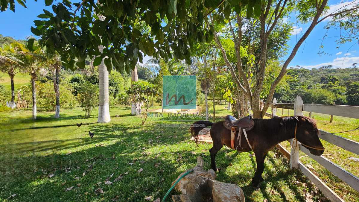 Fazenda à venda com 6 quartos, 693000m² - Foto 1