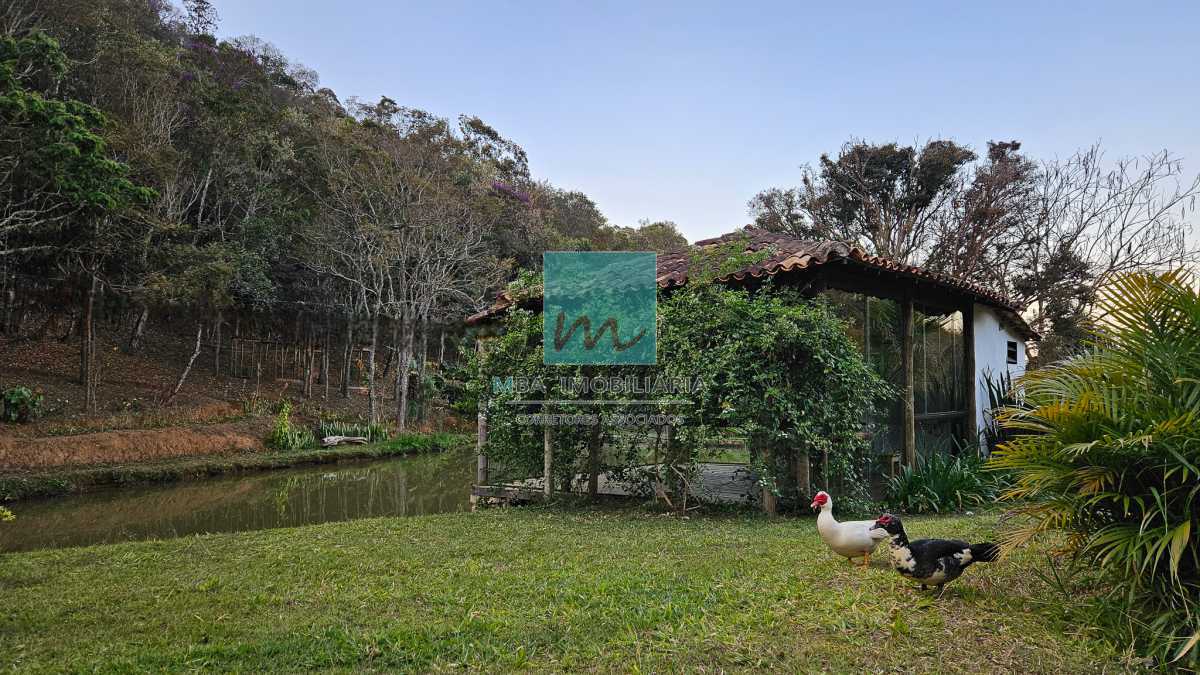 Fazenda à venda com 4 quartos, 175000m² - Foto 13