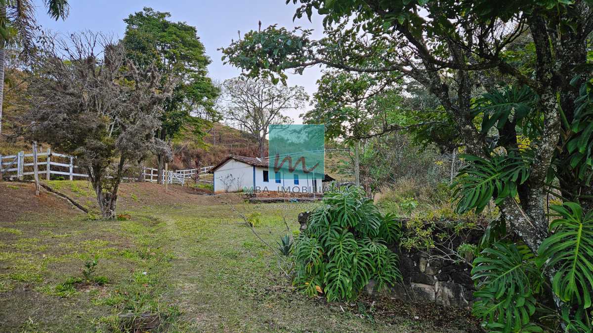 Fazenda à venda com 4 quartos, 175000m² - Foto 17