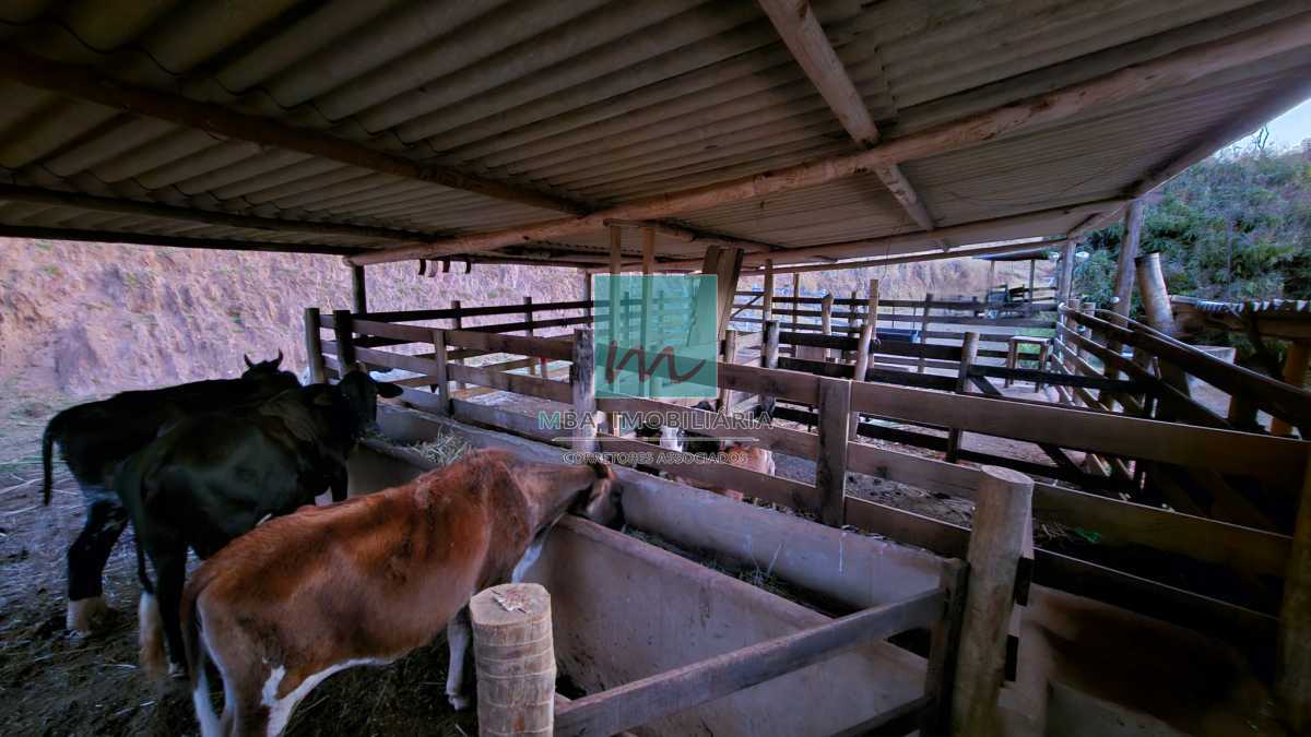 Fazenda à venda com 4 quartos, 175000m² - Foto 20