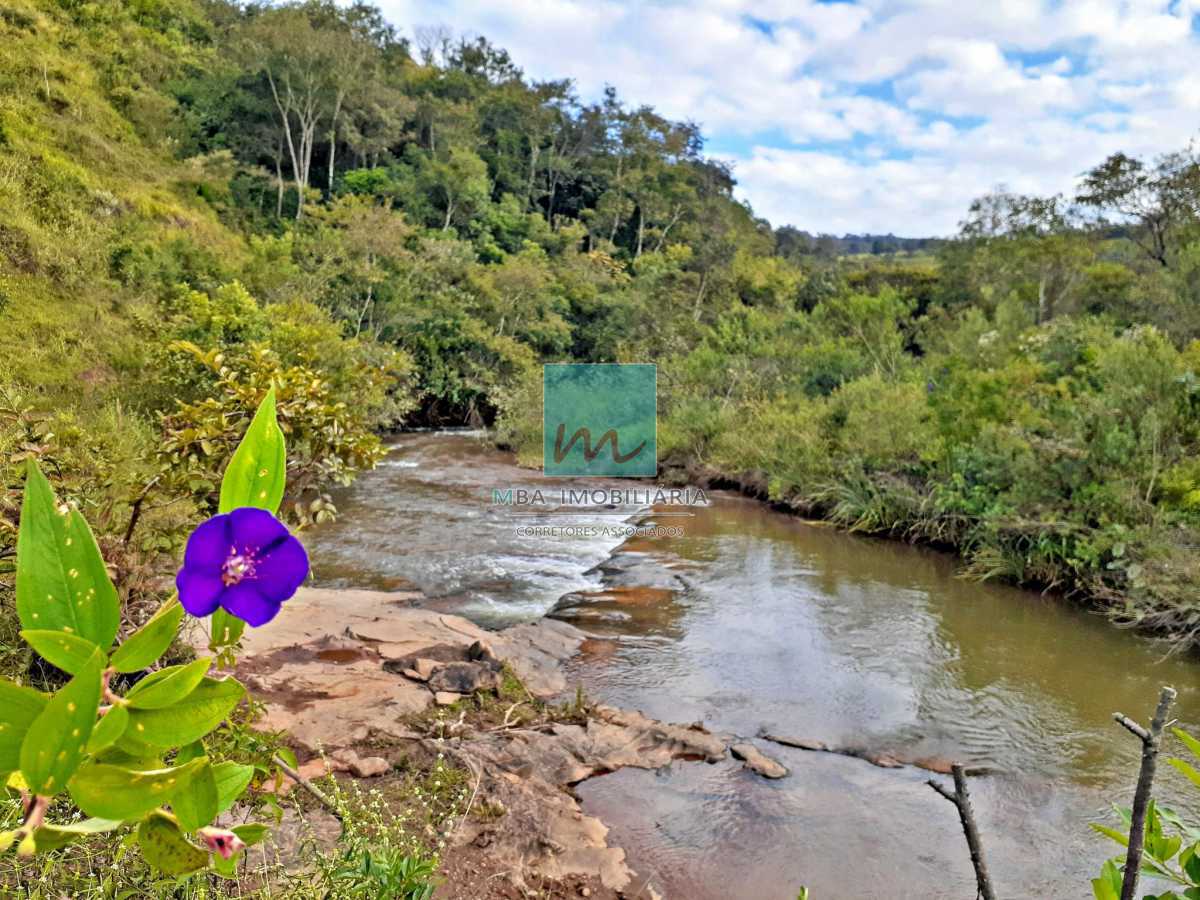 Fazenda à venda com 4 quartos, 175000m² - Foto 30