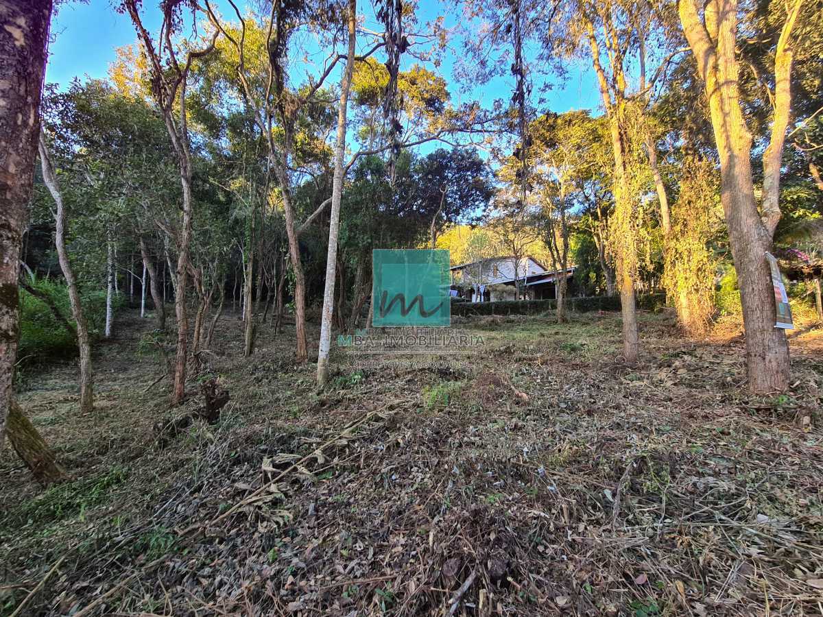 Terreno à venda, 1000 - Foto 3