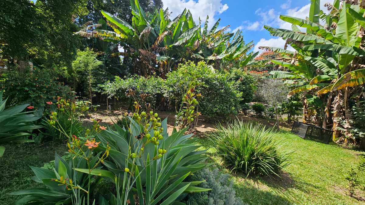 Casa à venda com 6 quartos, 140m² - Foto 1