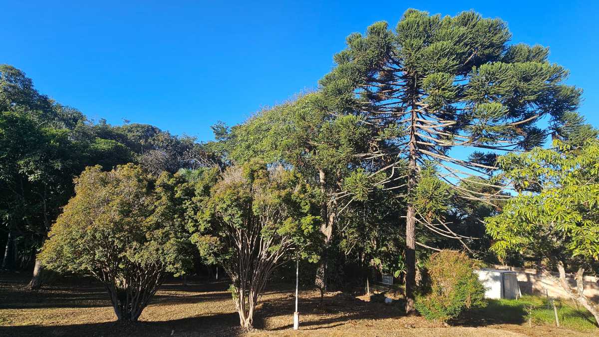 Chácara à venda com 7 quartos, 356m² - Foto 4
