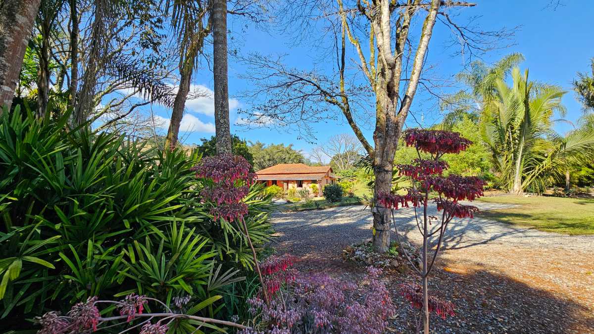 Sítio, 6 quartos, 13 hectares - Foto 7