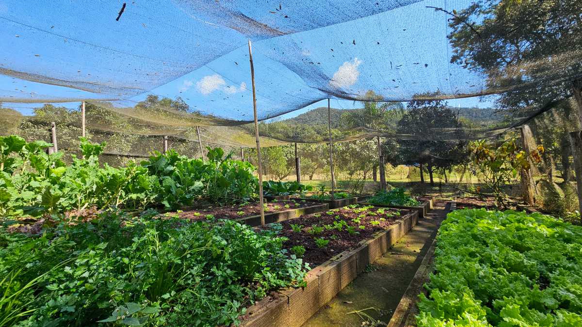 Sítio, 6 quartos, 13 hectares - Foto 19