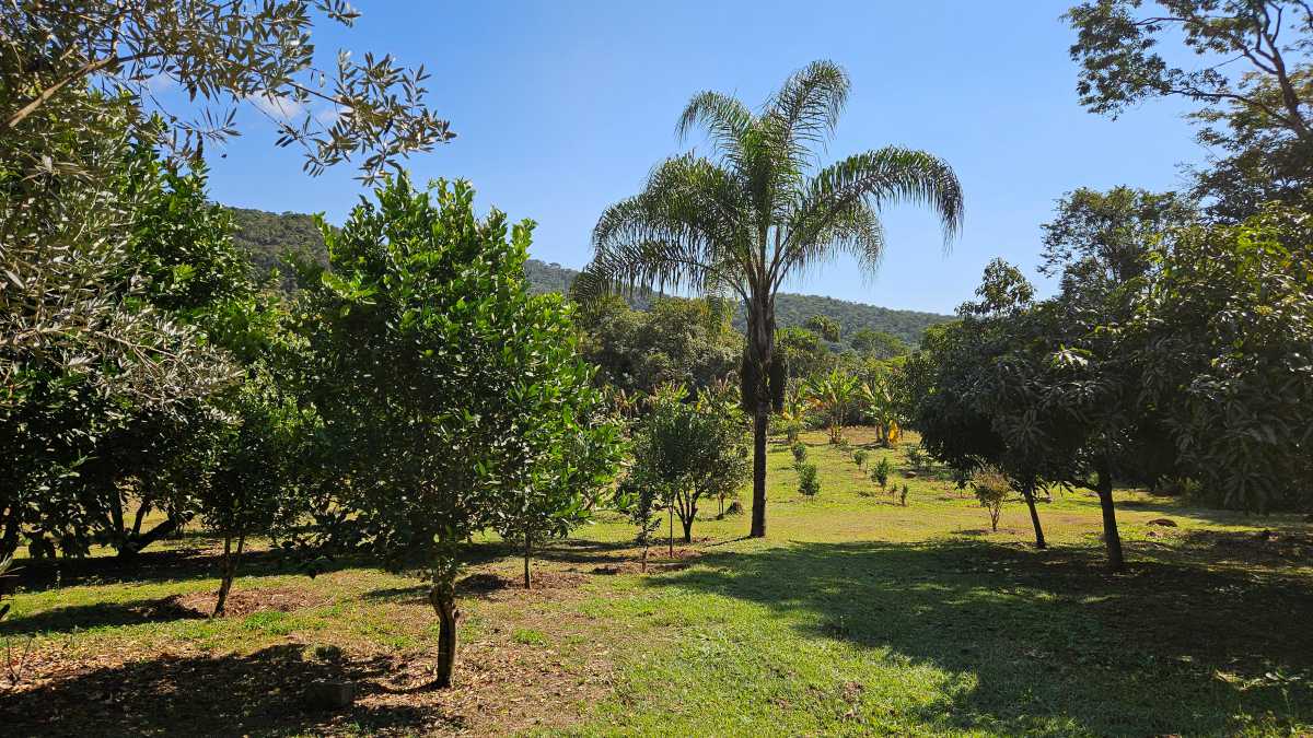 Sítio, 6 quartos, 13 hectares - Foto 22