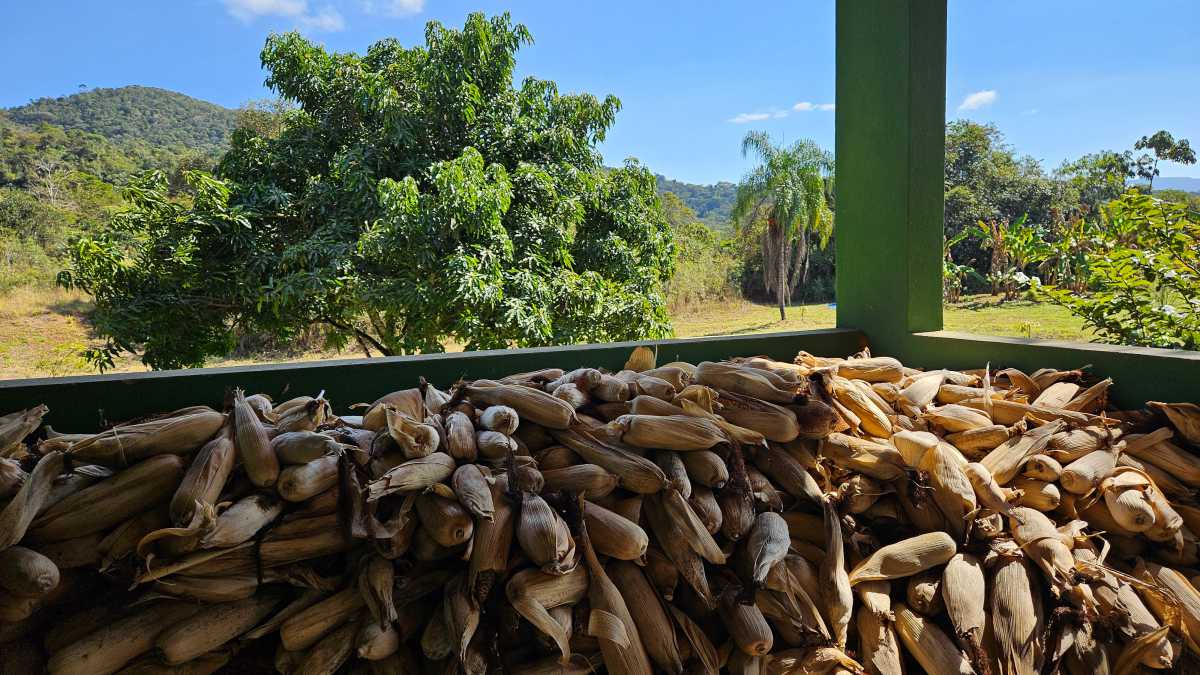 Sítio, 6 quartos, 13 hectares - Foto 21