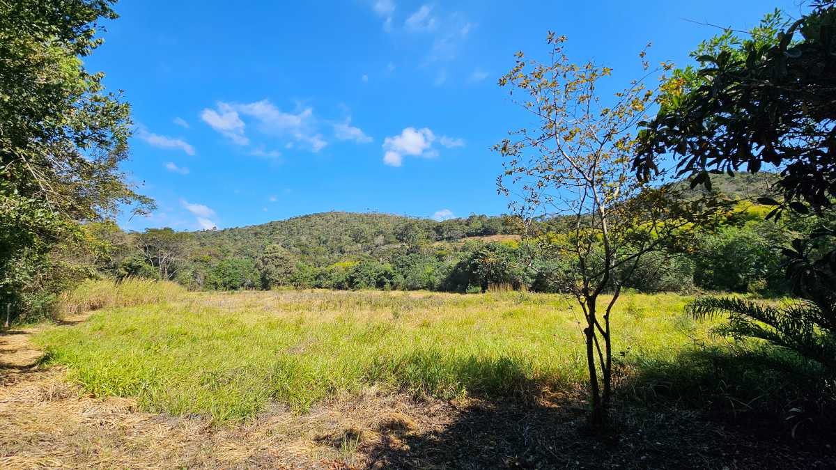 Sítio, 6 quartos, 13 hectares - Foto 27