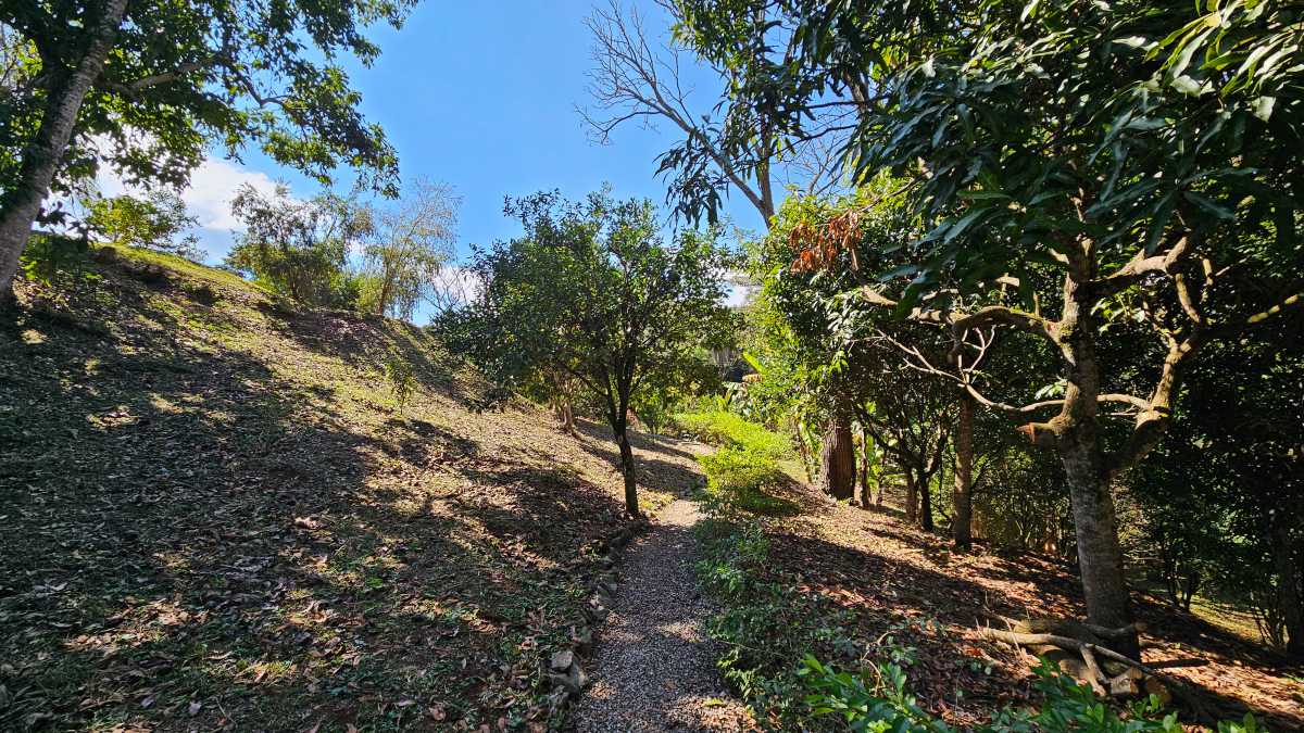 Sítio, 6 quartos, 13 hectares - Foto 24