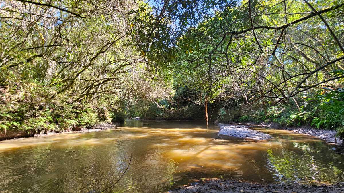 Sítio, 6 quartos, 13 hectares - Foto 23