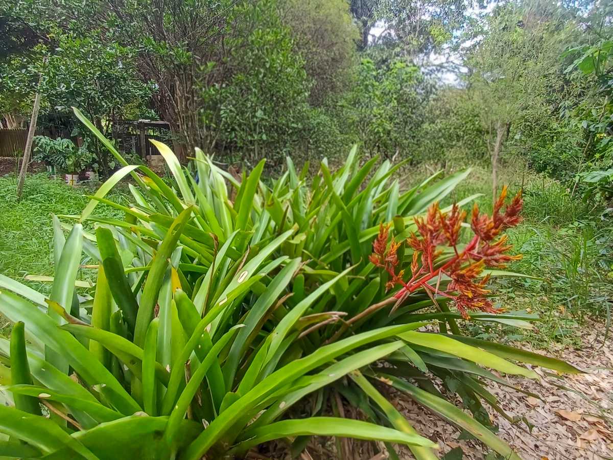 Casa, 3 quartos, 165 m² - Foto 7