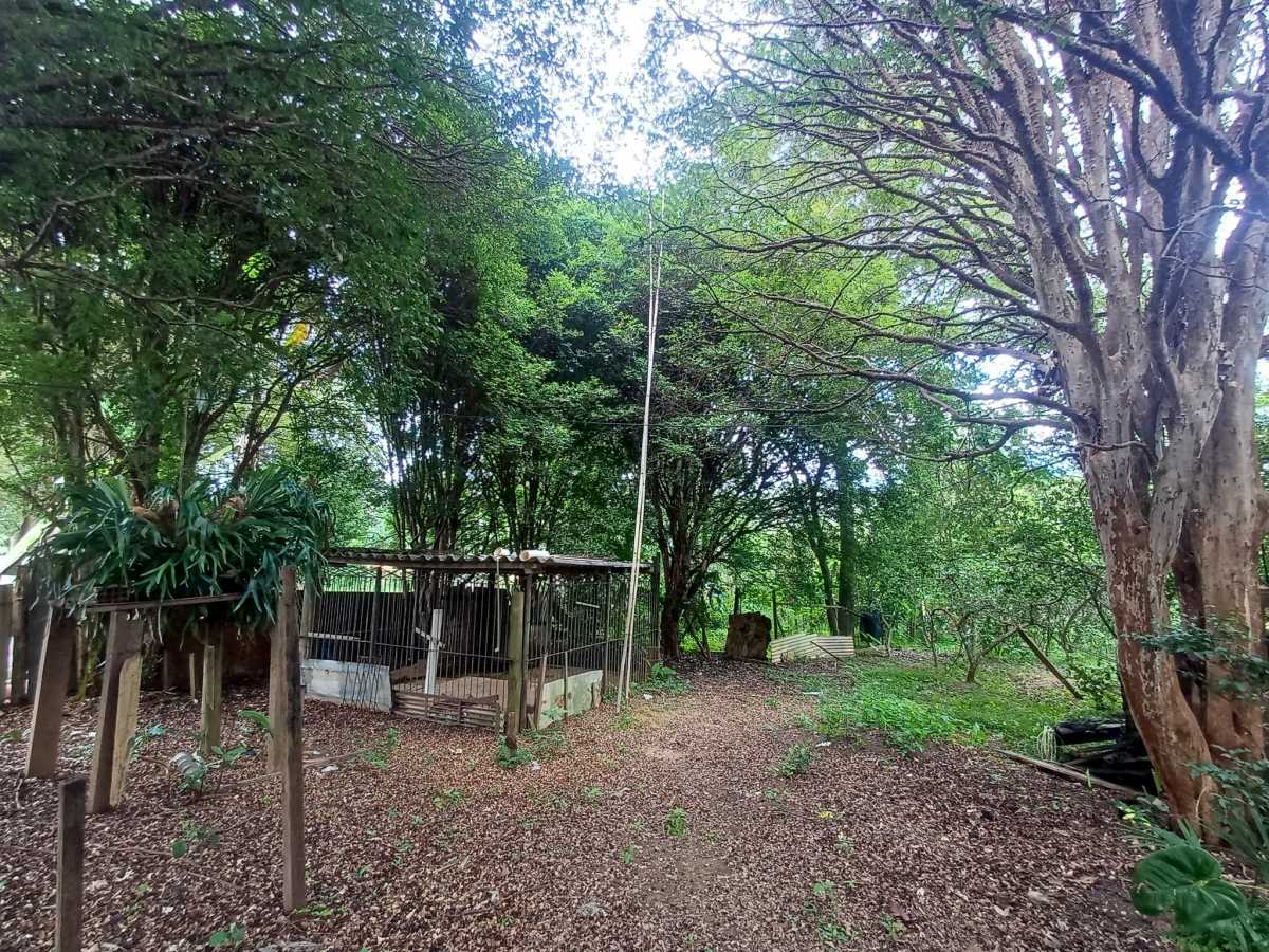 Casa, 3 quartos, 165 m² - Foto 11