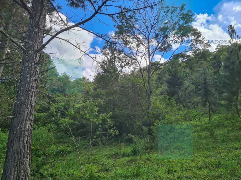 Terreno à venda, 90000 - Foto 5