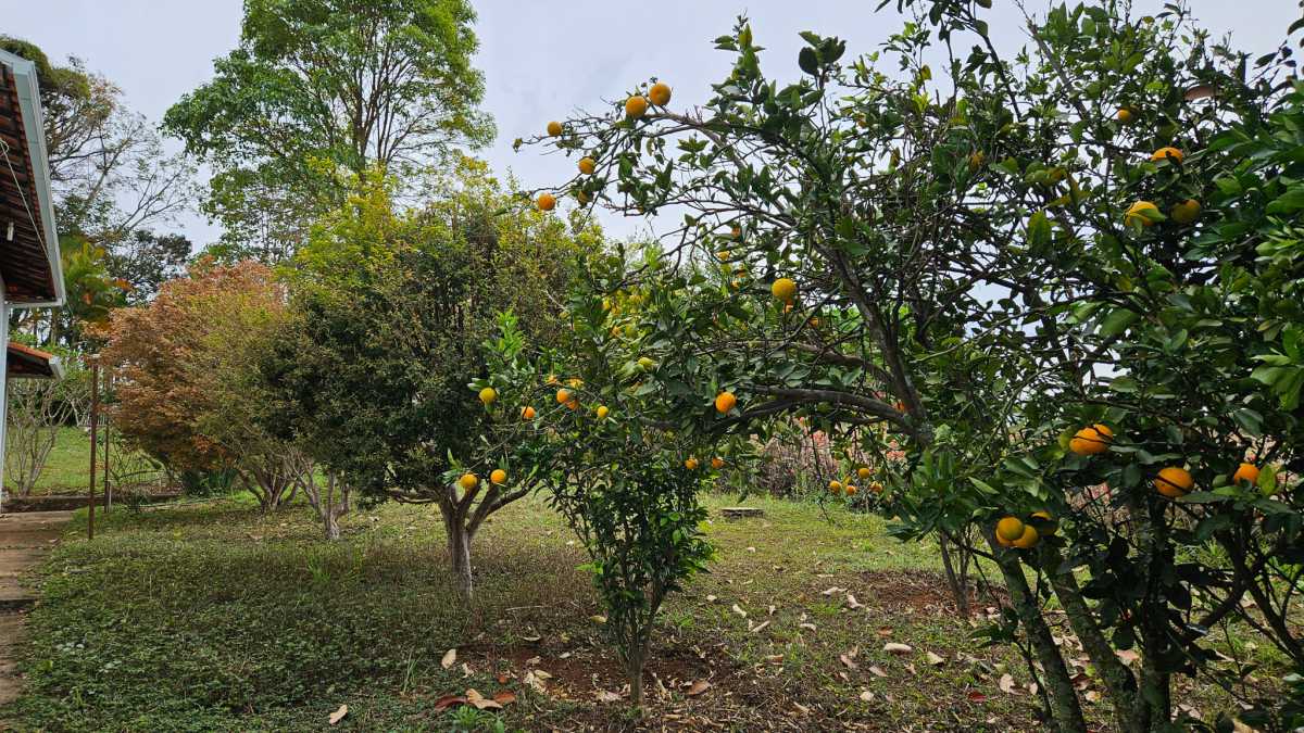 Chácara, 4 quartos - Foto 5