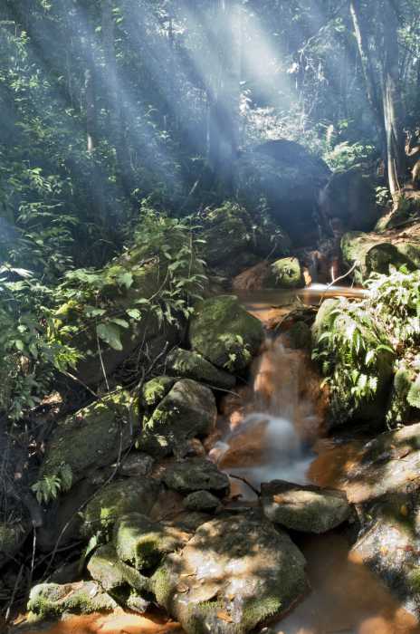 Terreno à venda, 1000 - Foto 10