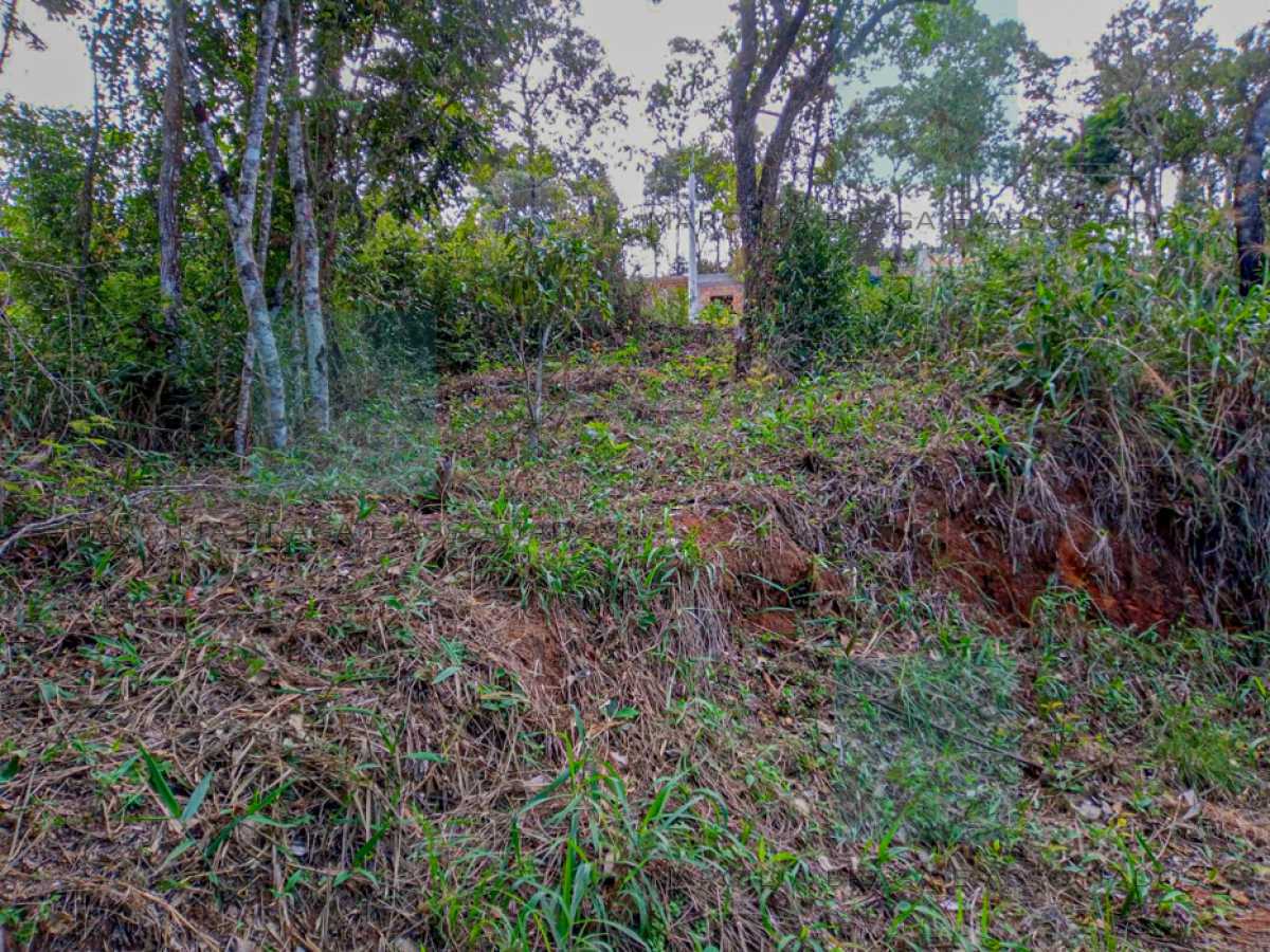 Terreno à venda, 1000 - Foto 2