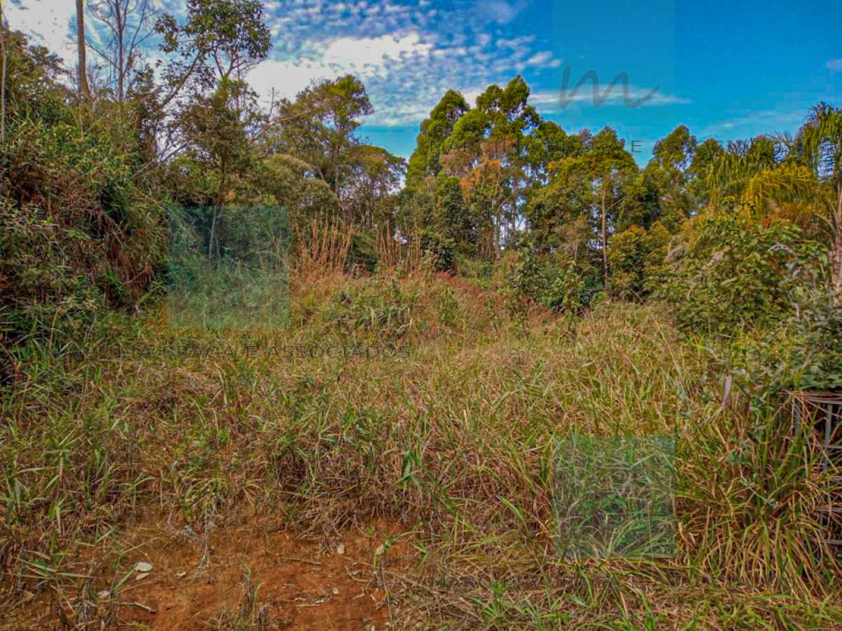 Terreno à venda, 1000 - Foto 6