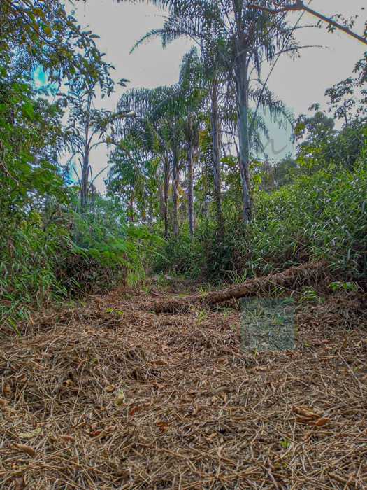 Terreno à venda, 1000 - Foto 12