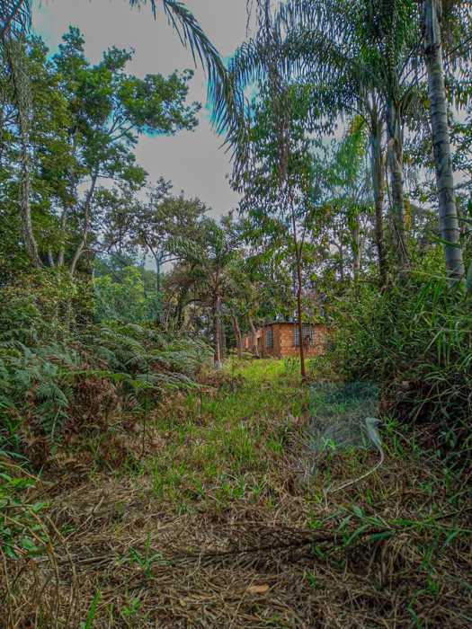 Terreno à venda, 1000 - Foto 3