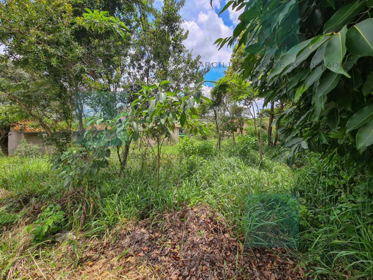 Terreno à venda, 1000 - Foto 2