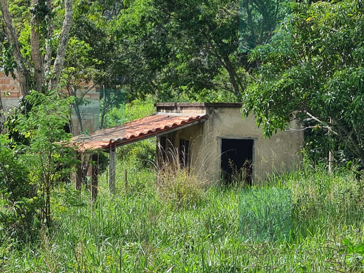 Terreno à venda, 1000 - Foto 4