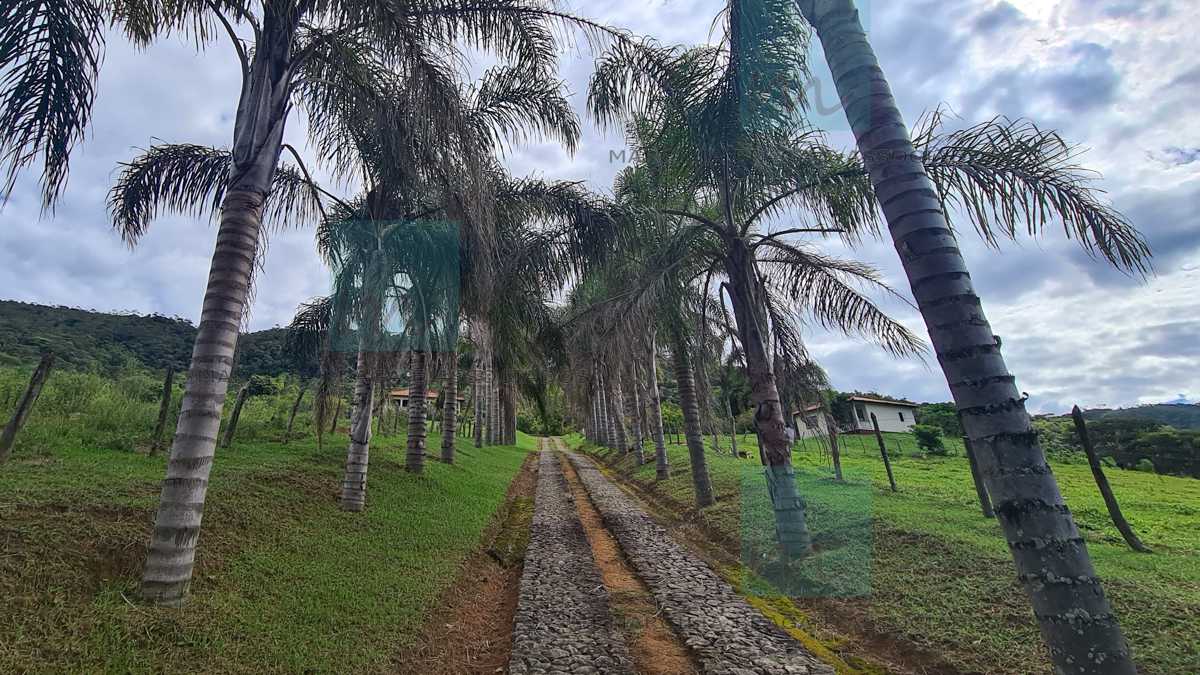 Fazenda à venda com 4 quartos, 832000m² - Foto 21