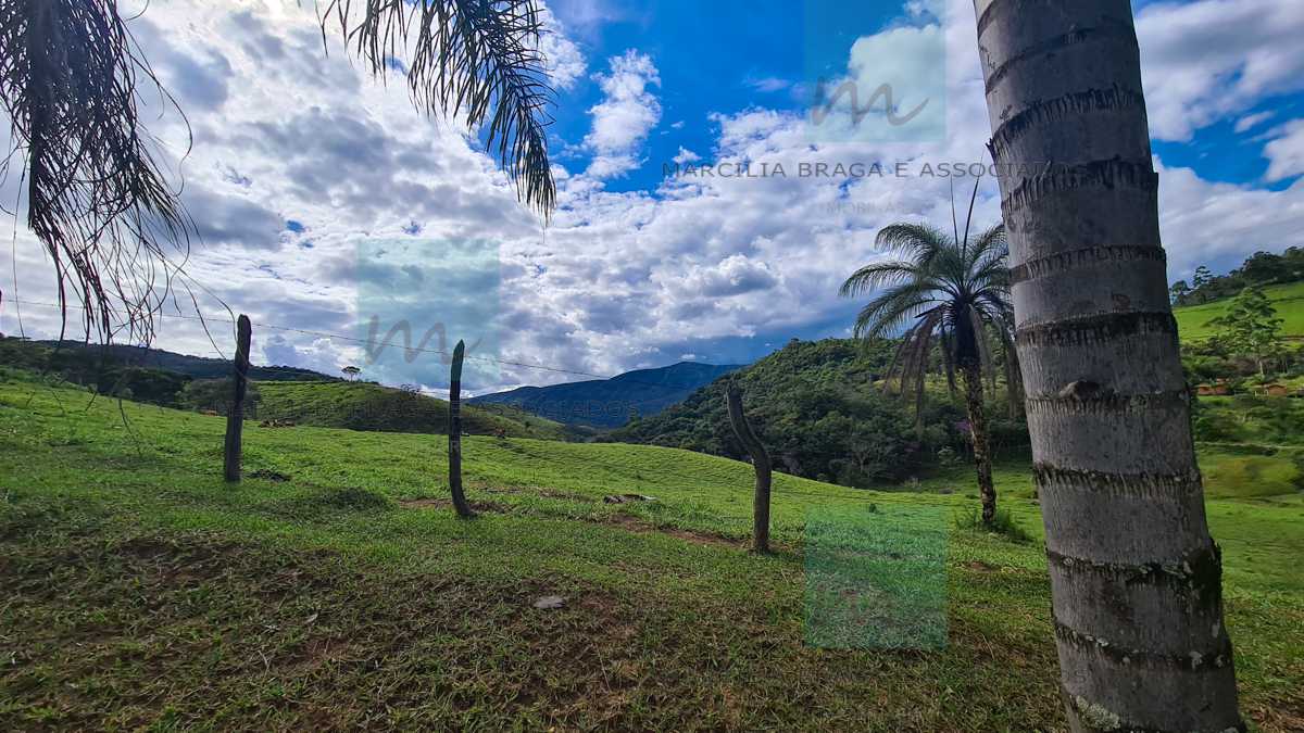 Fazenda à venda com 4 quartos, 832000m² - Foto 22