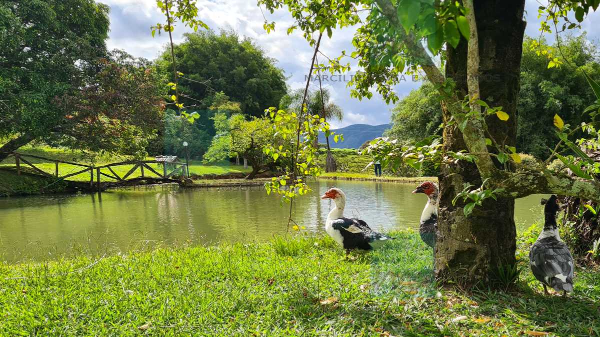 Fazenda à venda com 4 quartos, 832000m² - Foto 1