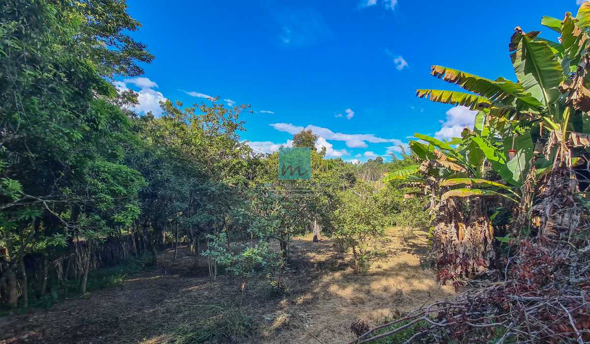 Terreno, 5800 m² - Foto 5