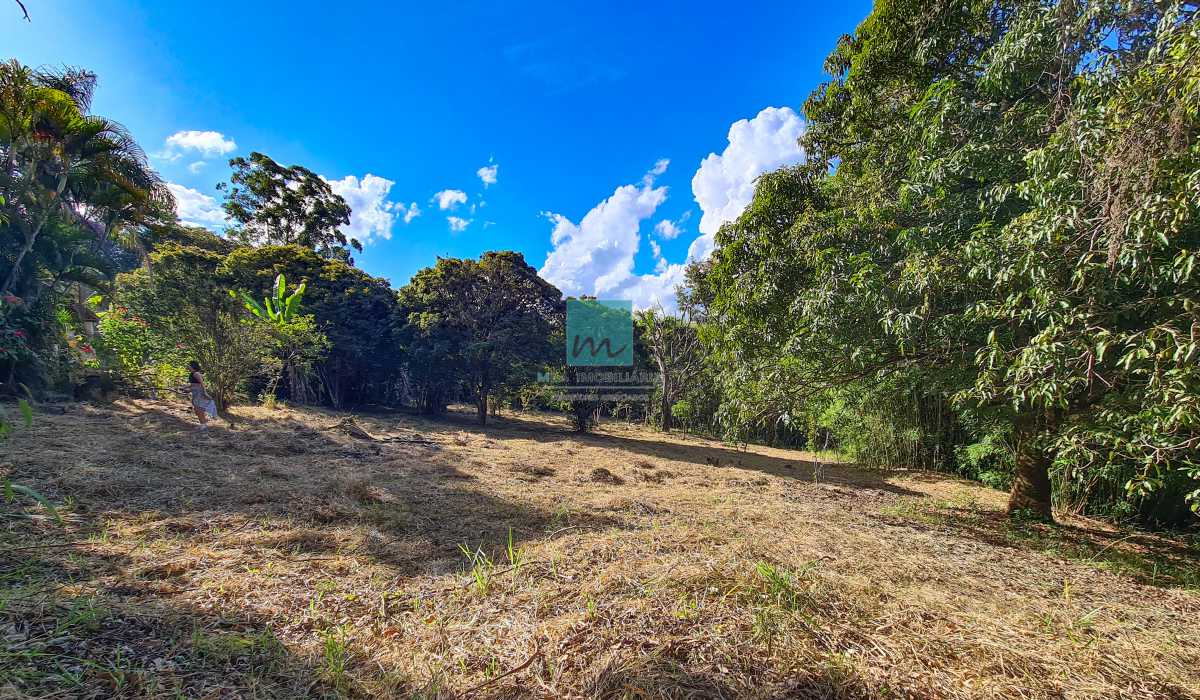 Terreno, 5800 m² - Foto 2