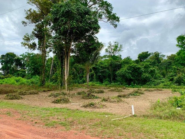 Terreno à venda, 800 m² por RS 30.000 - Zona Rural de Rio Preto da Eva - Rio Preto da Eva-AM
